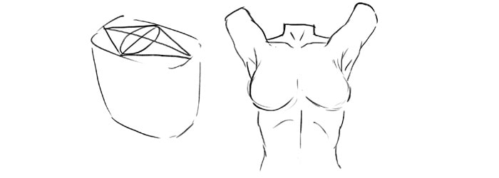 photo Anime Female Anatomy Drawing Reference how to draw the female torso an in