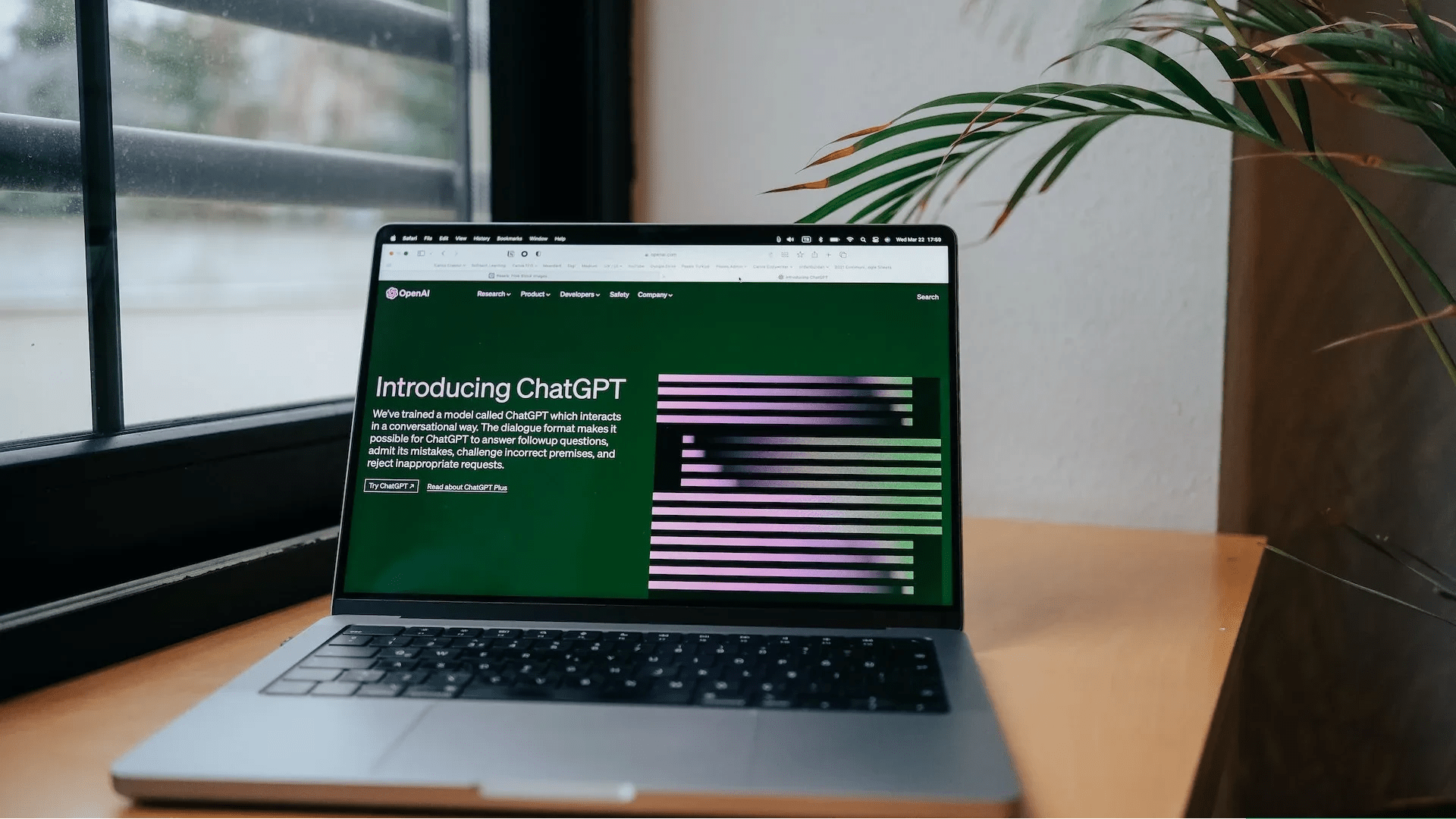 How To Fix ChatGPT Too many Signups from the same IP Error