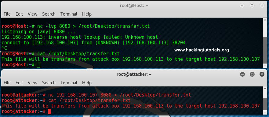 Hacking With Netcat Part 1 The Basics Crackware