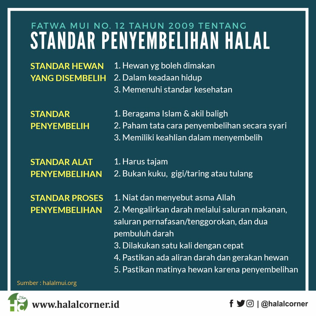 Ketua bidang fatwa majelis ulama indonesia (mui) kh asrorun niam sholeh. Standar Penyembelihan Halal | HalalCorner.ID