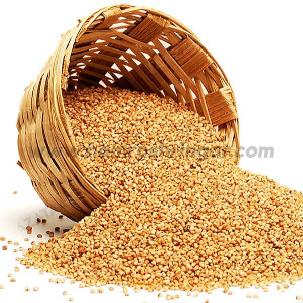 hamroshringar.com