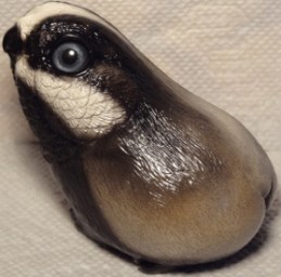 badgerpoad