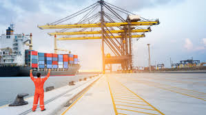 CIPS: Hambatan Non Tarif dalam Perdagangan Pangan Merugikan Konsumen -  Hariansuara.com