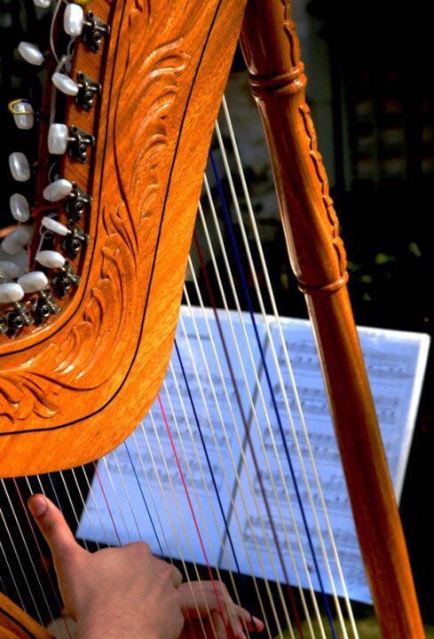 harpists cape town