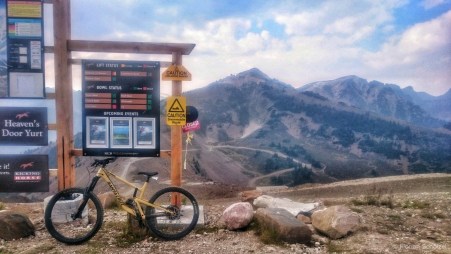 Kicking Horse
