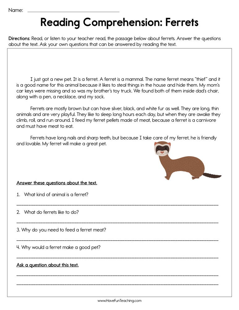 ferrets reading comprehension worksheet have fun teaching