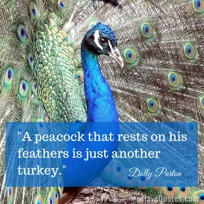 Life insurance companies are competitive and can be intimidating to new clients. A Peacock That Rests On His Feathers Is Just Another Turkey Quote Life Quotes Love Quotes Funny Quotes And Inspire Quotes At Havequotes Com