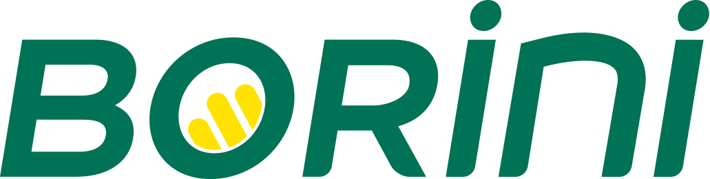 Logo_Borini