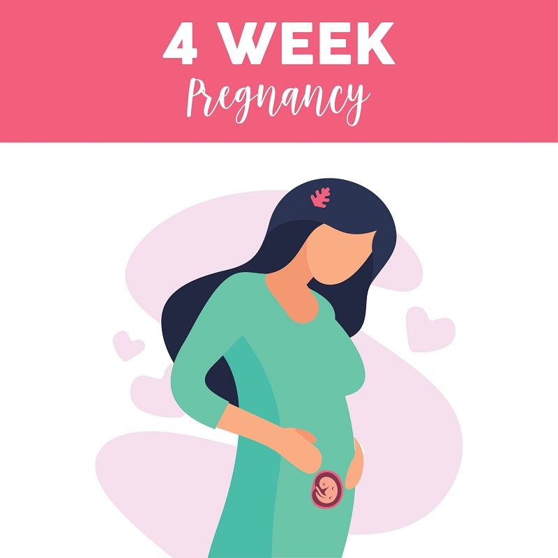 प्रेगनेंसी का चौथा हफ्ता – Pregnancy Four Week In Hindi - Healthunbox