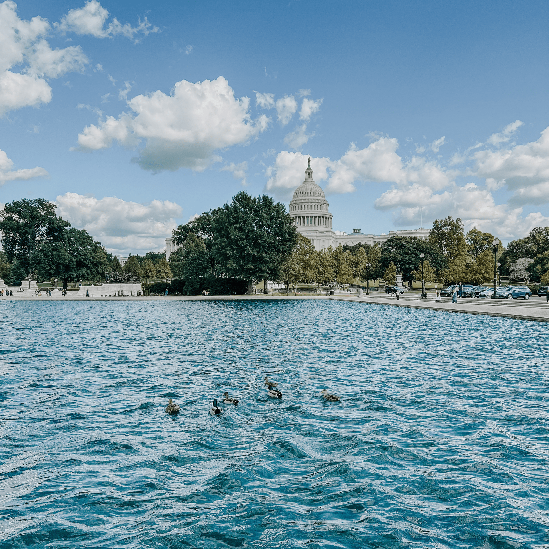 Why DC Locals Should Make Time to Revisit (or Visit!) the Museums