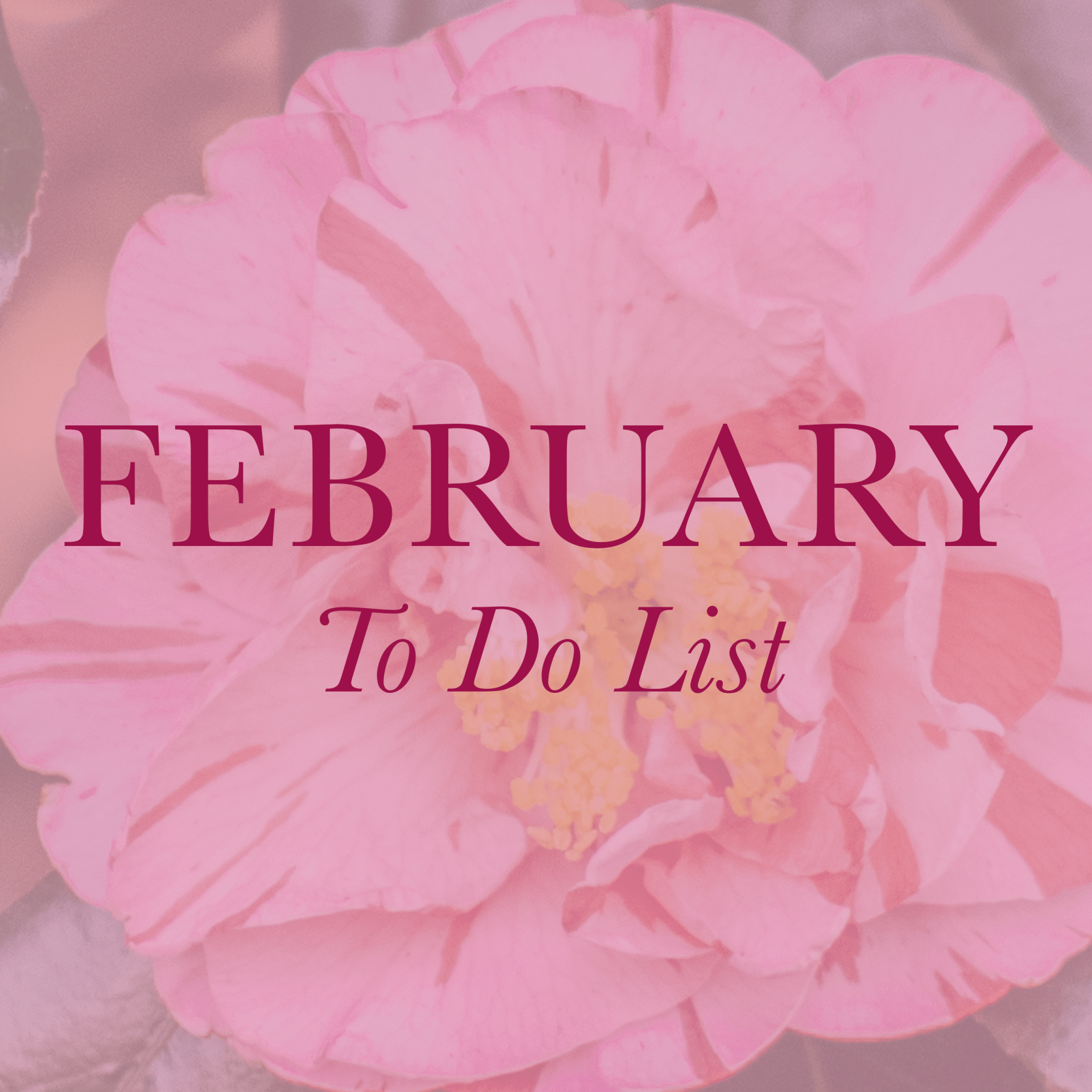 February To Do List: Pull out the Stops for Winter Celebrations