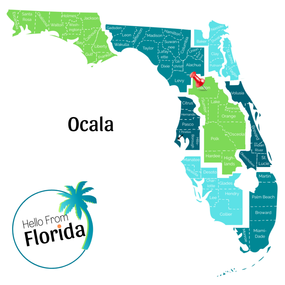 Ocala Hello From Florida Ocala Map 980x980 
