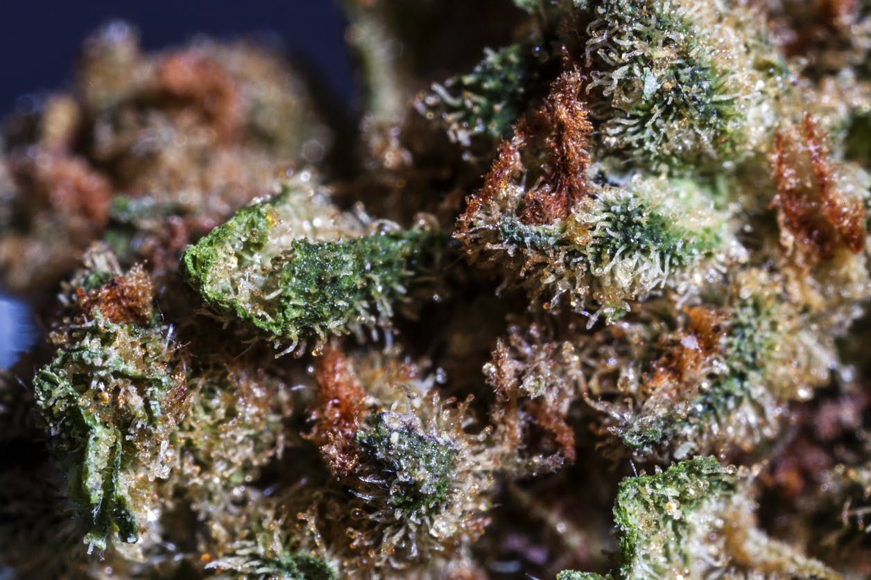 CRD63%＋30% 1ml Green Crack crdpo cbd 22K - Green Crack 1.0ml POD - Twenty Two K / 22k