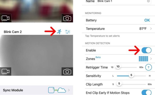 Blink Camera Motion Zones At Richard Meagher Blog