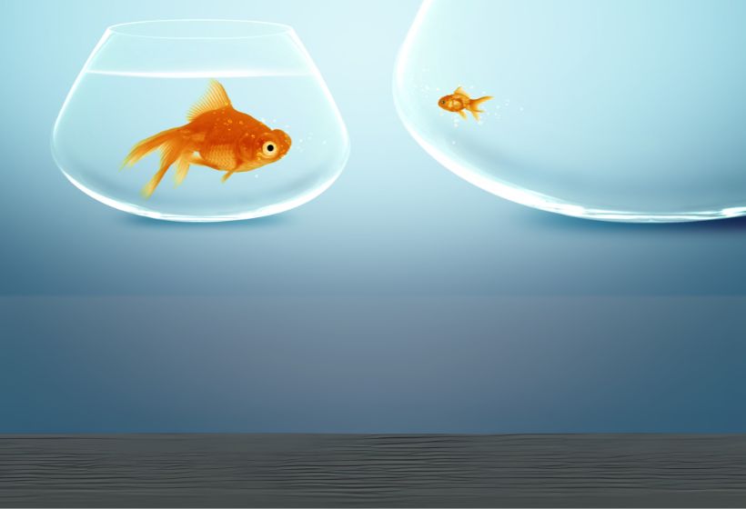 Huge vs. Small Character Arcs: Understanding the Levels of Change in Storytelling