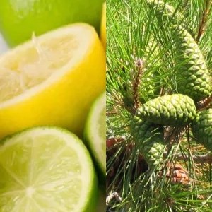Limonen - Pinen