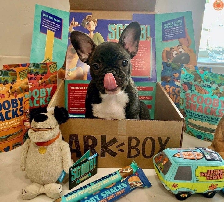 Mischief mutts | halloween themed dog toys | barkbox. 10 Best Dog Subscription Boxes For 2022 Reviews Top Picks Hepper