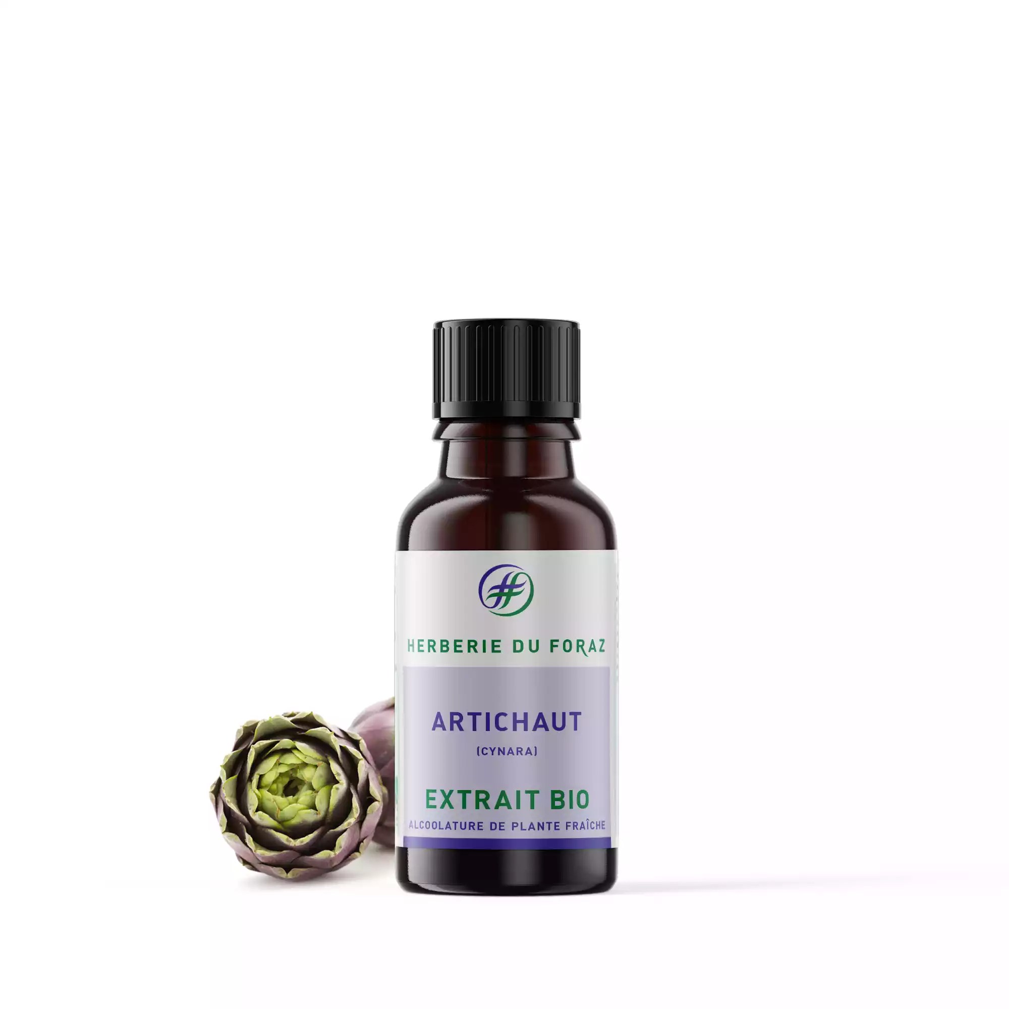 ALCOOLATURE ARTICHAUT