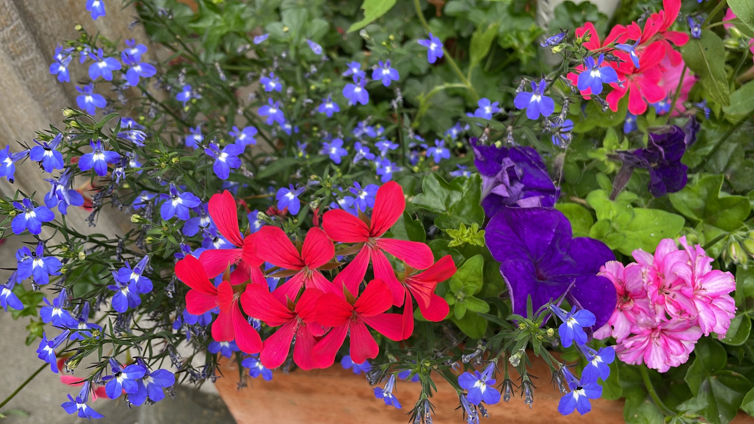 Read more about the article Wie alles begann