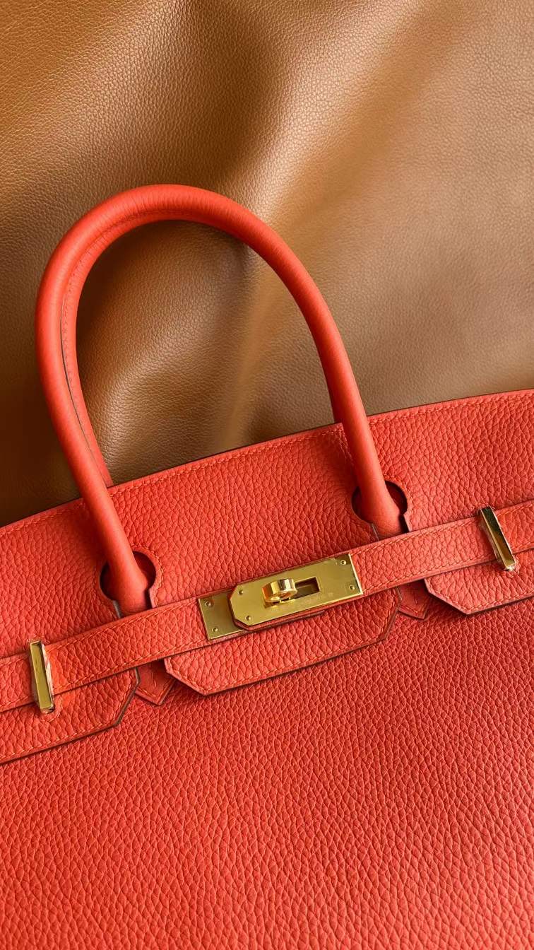 HERMES バーキン30 フュー トゴ ゴールド金具 【H品】 - 画像 (12)