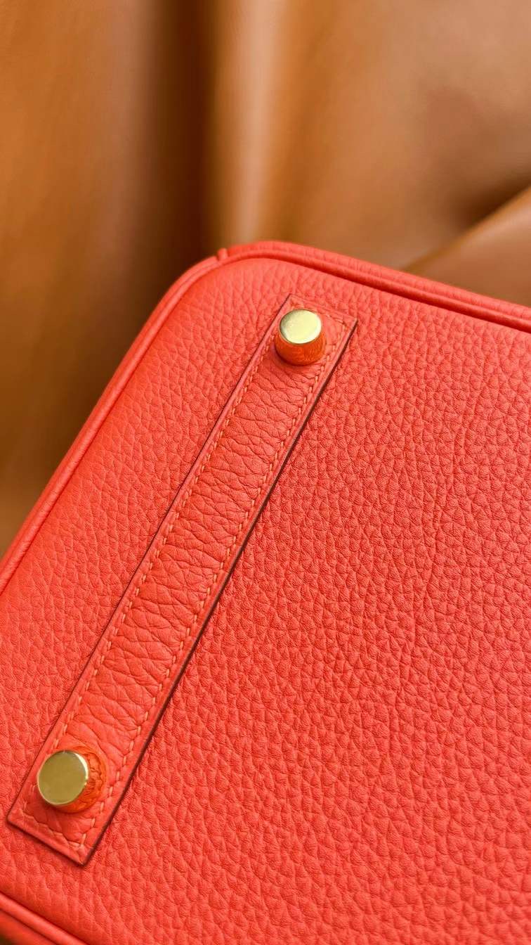 HERMES バーキン30 フュー トゴ ゴールド金具 【H品】 - 画像 (6)