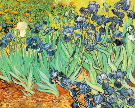 Van Gogh, les Iris (1889, 93cmx72cm, Paul Getty Museum, Californie)
