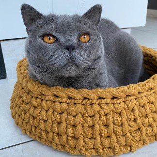 Kattenmand