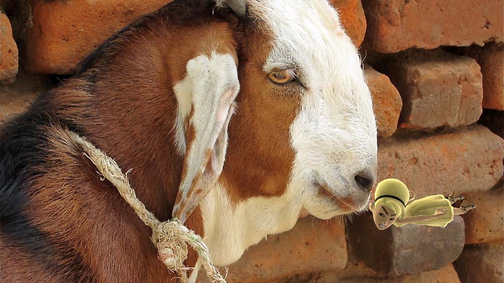 Screenshot 2 Avatar Planking Screenshot 2