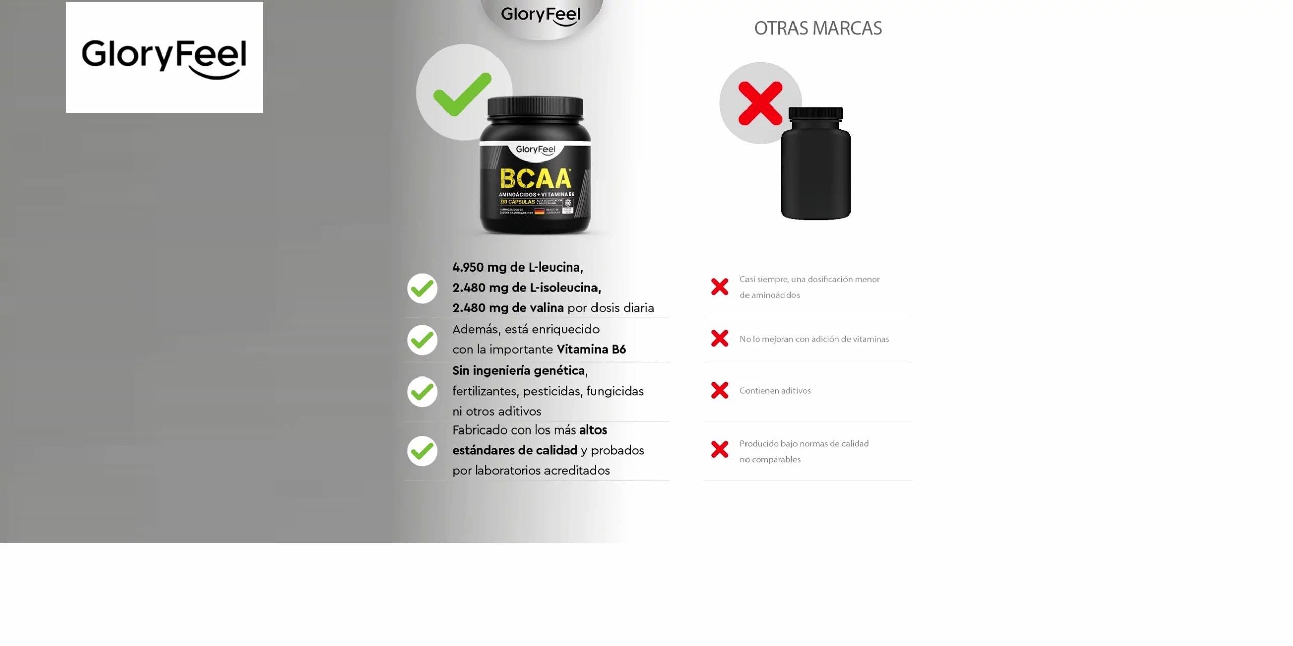 BCAA MÁS VITAMINA B6 DE GloryFeel