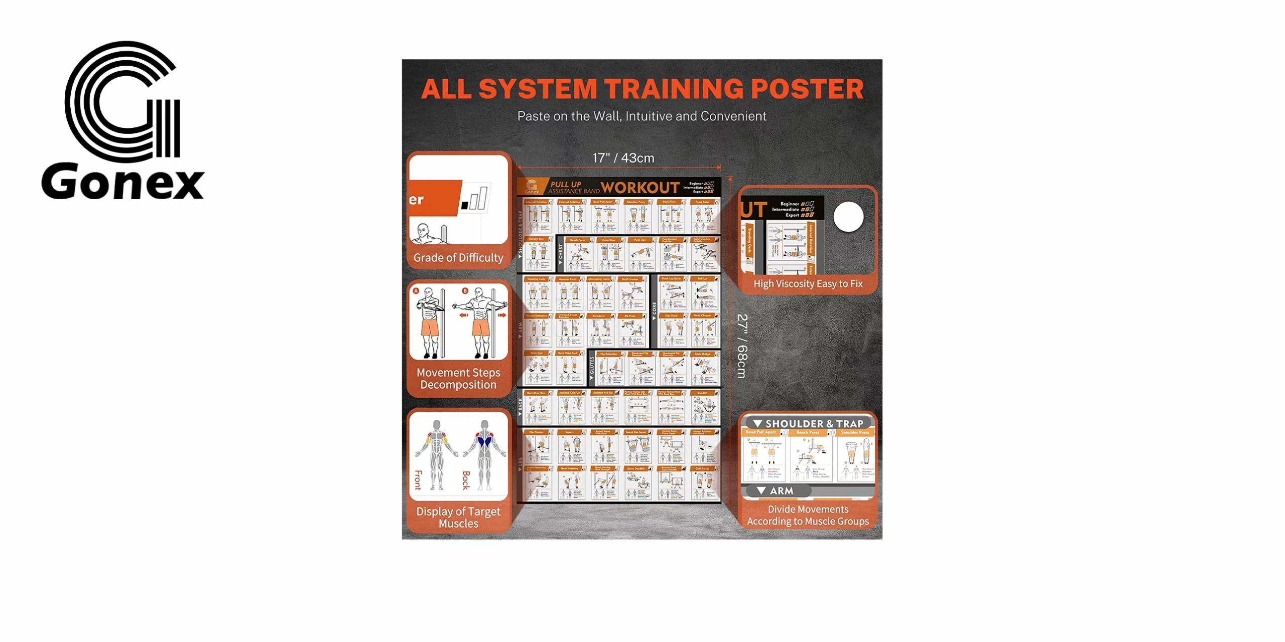 BANDAS DE RESISTENCIA GONEX