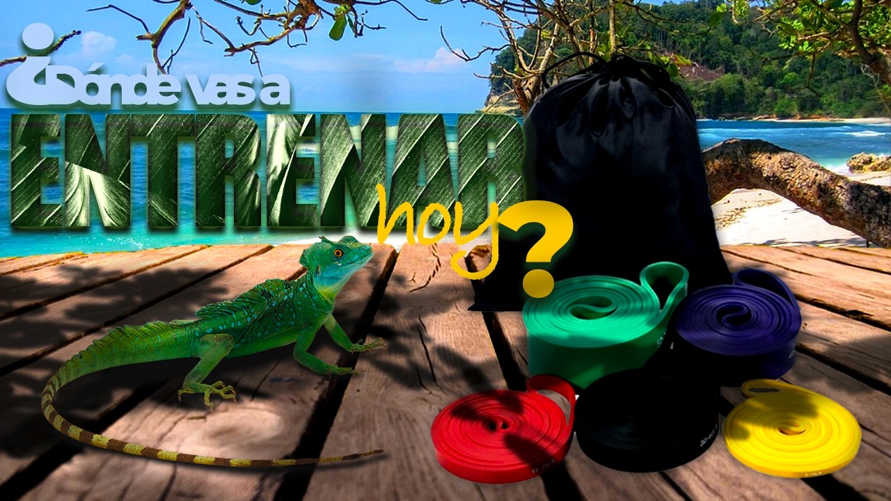 LAS MEJORES GOMAS ELÁSTICAS PARA ETRENAR