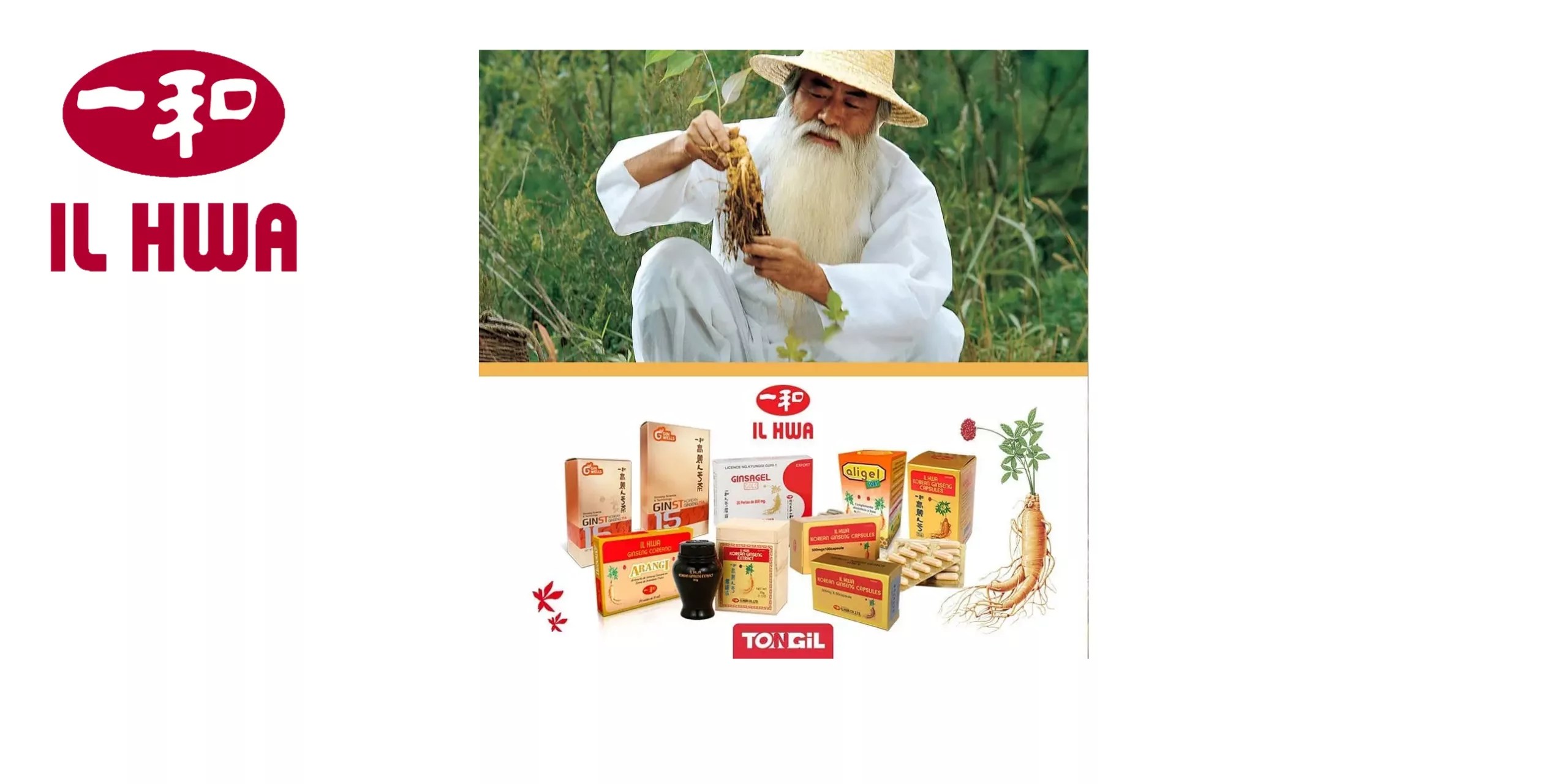 GINSENG COREANO PURO ILHAW