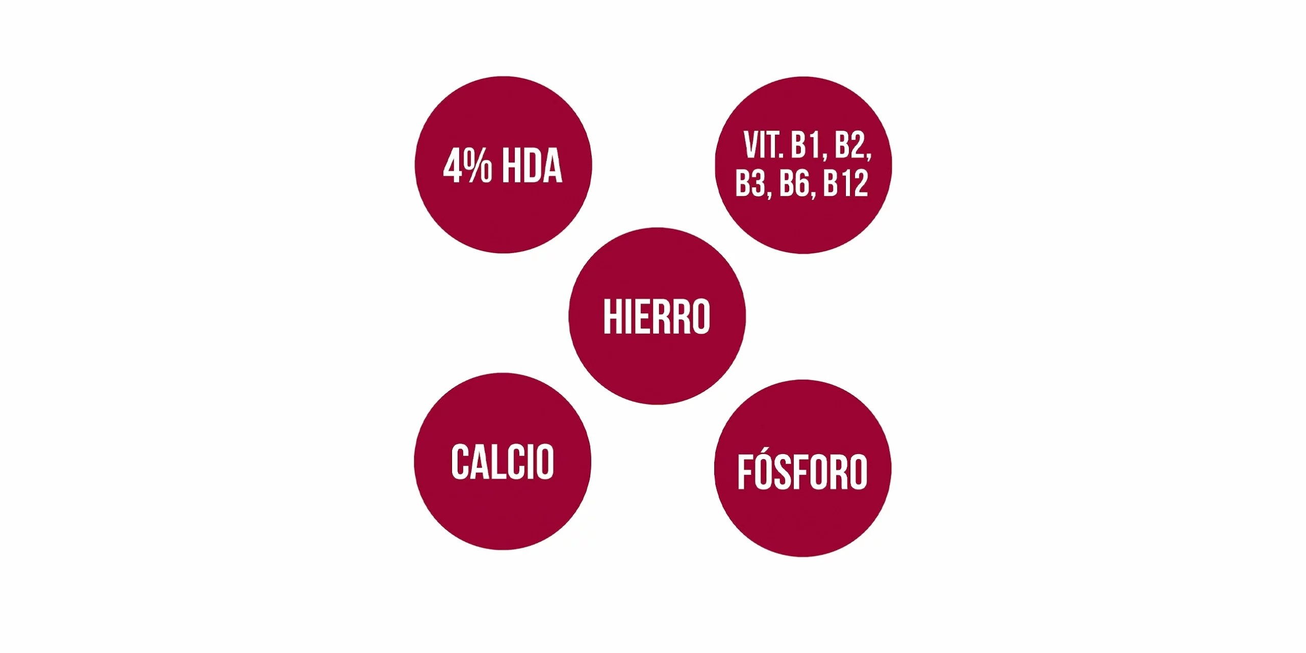 El bote de Jalea Real Liofilizada de Ana Maria Lajusticia es un complemento alimenticio que contiene jalea real liofilizada, una sustancia natural que producen las abejas y que tiene propiedades nutritivas y beneficiosas para la salud. El envase tiene un color blanco y una forma cilíndrica, con el logo de la marca y el nombre del producto en la parte frontal, en letras negras y rojas. En la parte trasera tiene una etiqueta con la información nutricional, los ingredientes y el modo de empleo. El bote contiene 60 cápsulas, que se presentan en un blíster transparente dentro del bote. El bote mide unos 10 cm de alto y unos 5 cm de diámetro, y pesa unos 100 g.