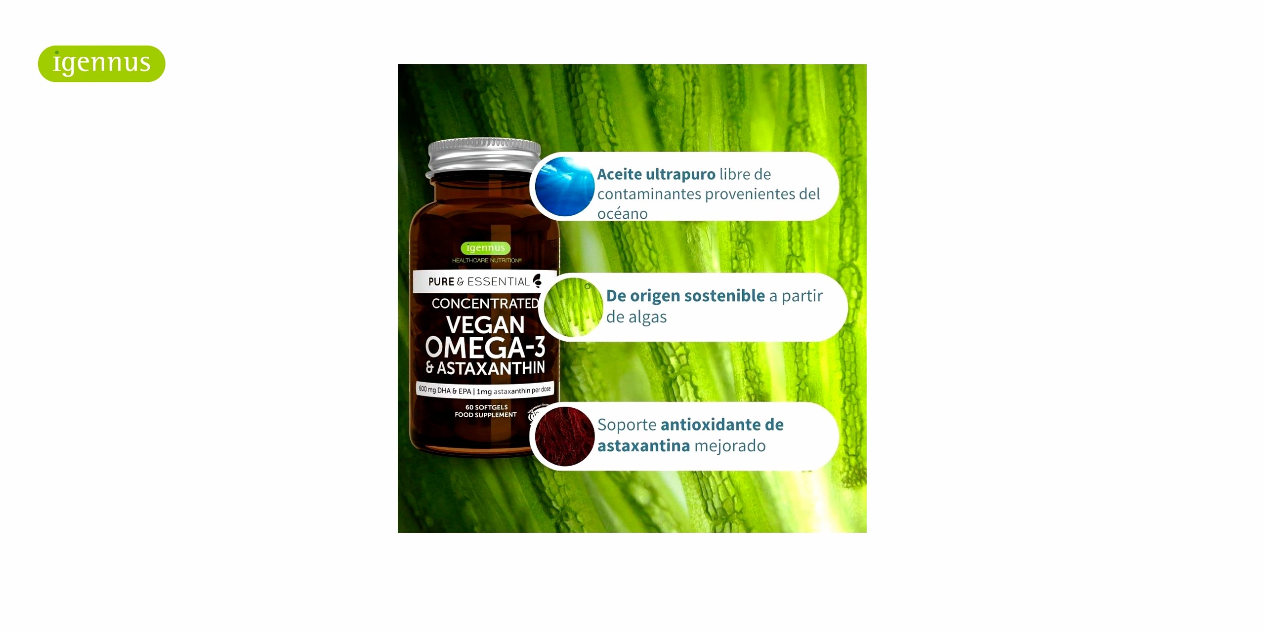 Un bote ambar con el logo de igennus en verde y el nombre de Omega 3 Vegano con Astaxantina en letras blancas. El bote contiene 60 cápsulas blandas de Omega 3 Vegano con Astaxantina, un suplemento que combina los ácidos grasos omega-3 de origen vegetal con la astaxantina, un potente antioxidante que protege las células del daño oxidativo.