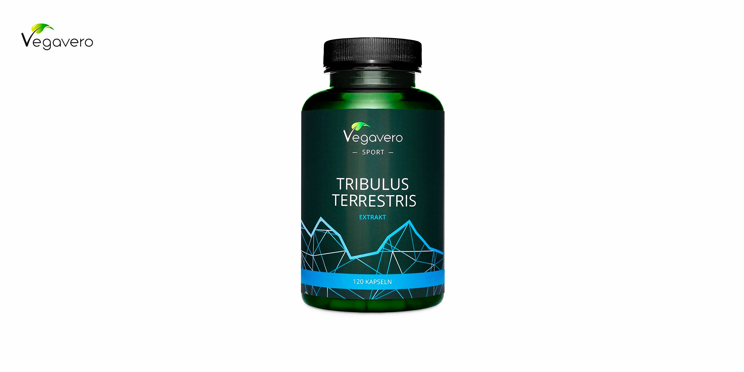 Bote de vegavero verde con detalles azules