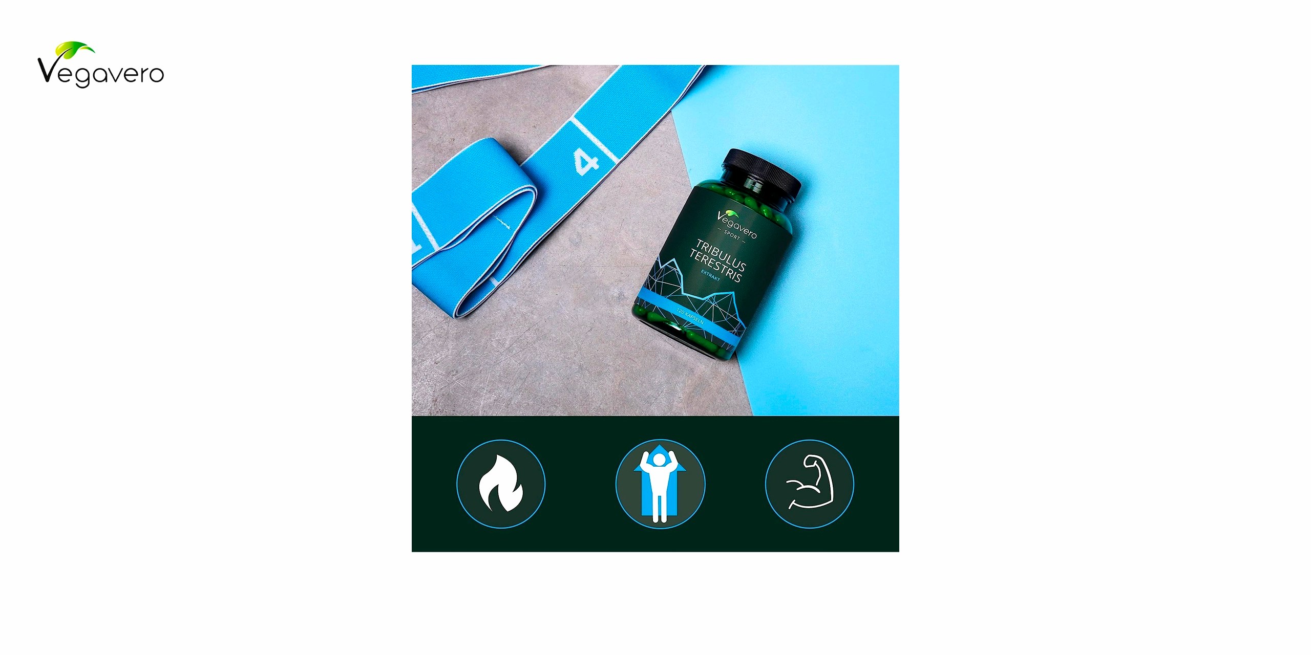 Bote de vegavero verde con detalles azules