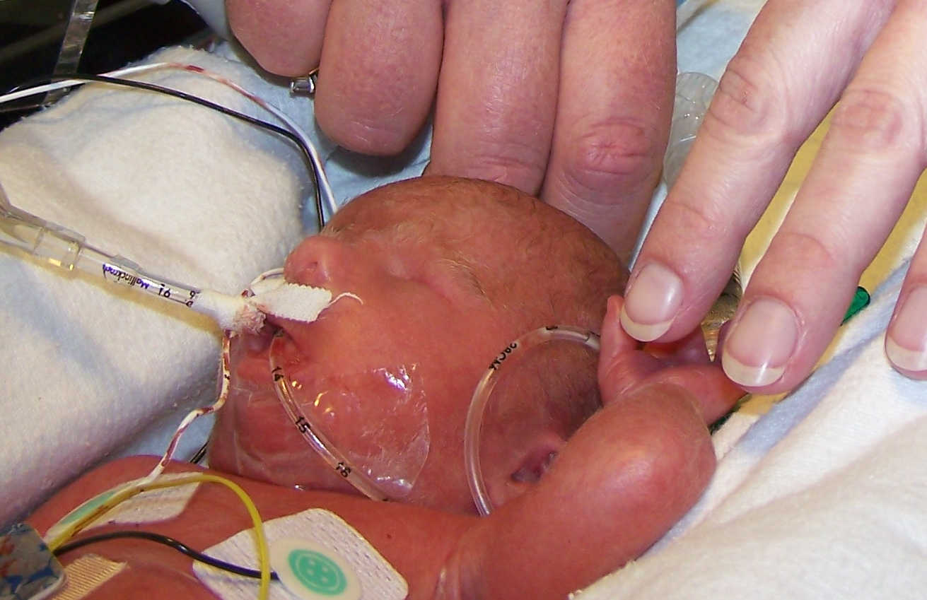 In memory of Luke William McGough