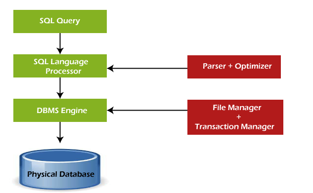 Structured Query Language Best Hindi Tutorials 2023 2 Structured Query Language Processing