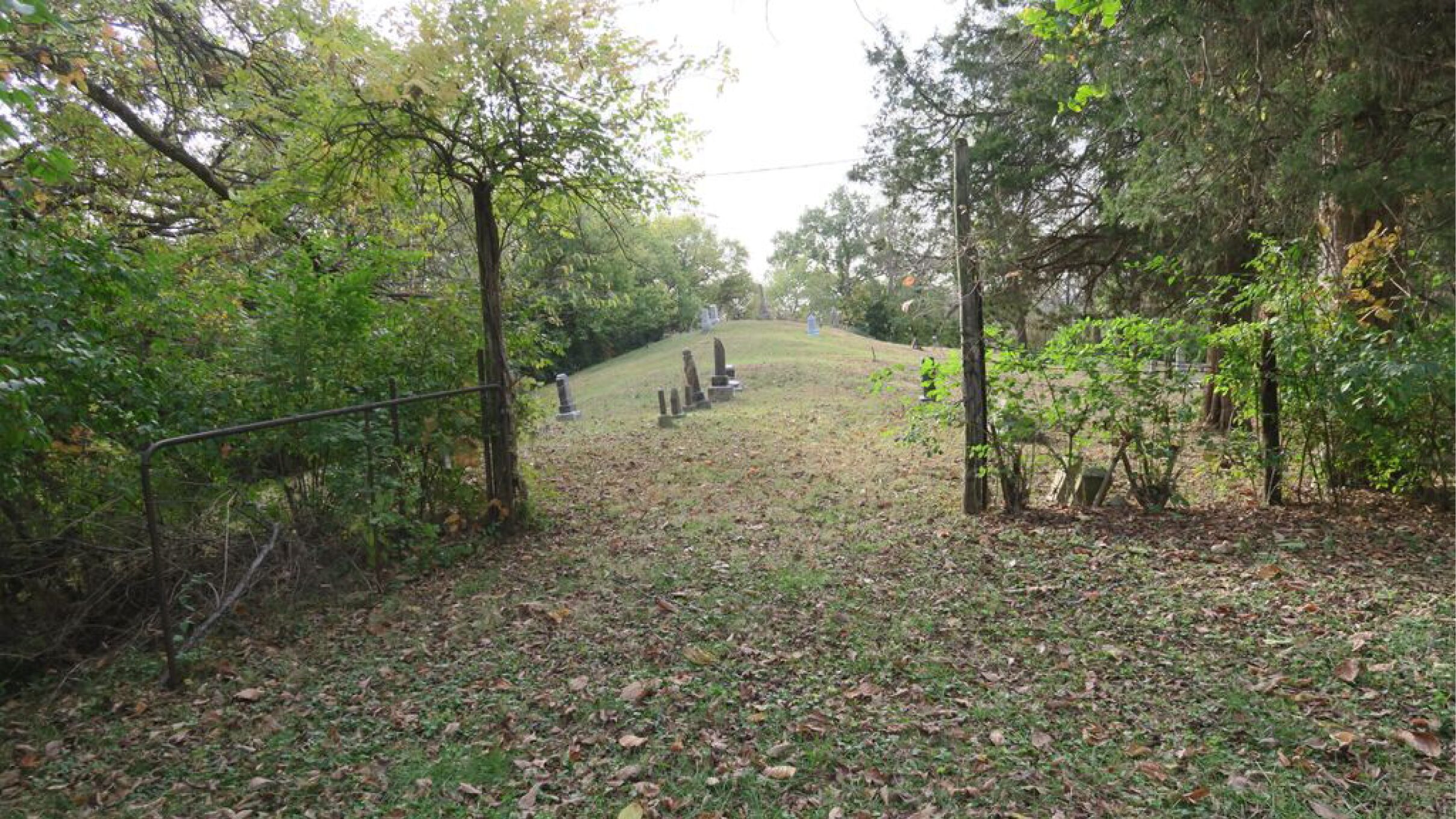 Read more about the article Lavina Henry Cemetery in Versailles, Illinois
