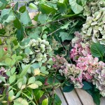 庭の花を飾るレッスン、アンティークカラーの紫陽花