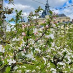 リンゴの花咲く王の菜園、ヴェルサイユ