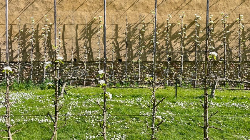 potager du roi