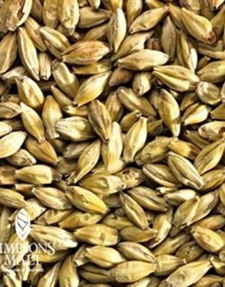 AROMATIC MALT Simpsons Finest Aromatic Brewing Malt - 1 lb