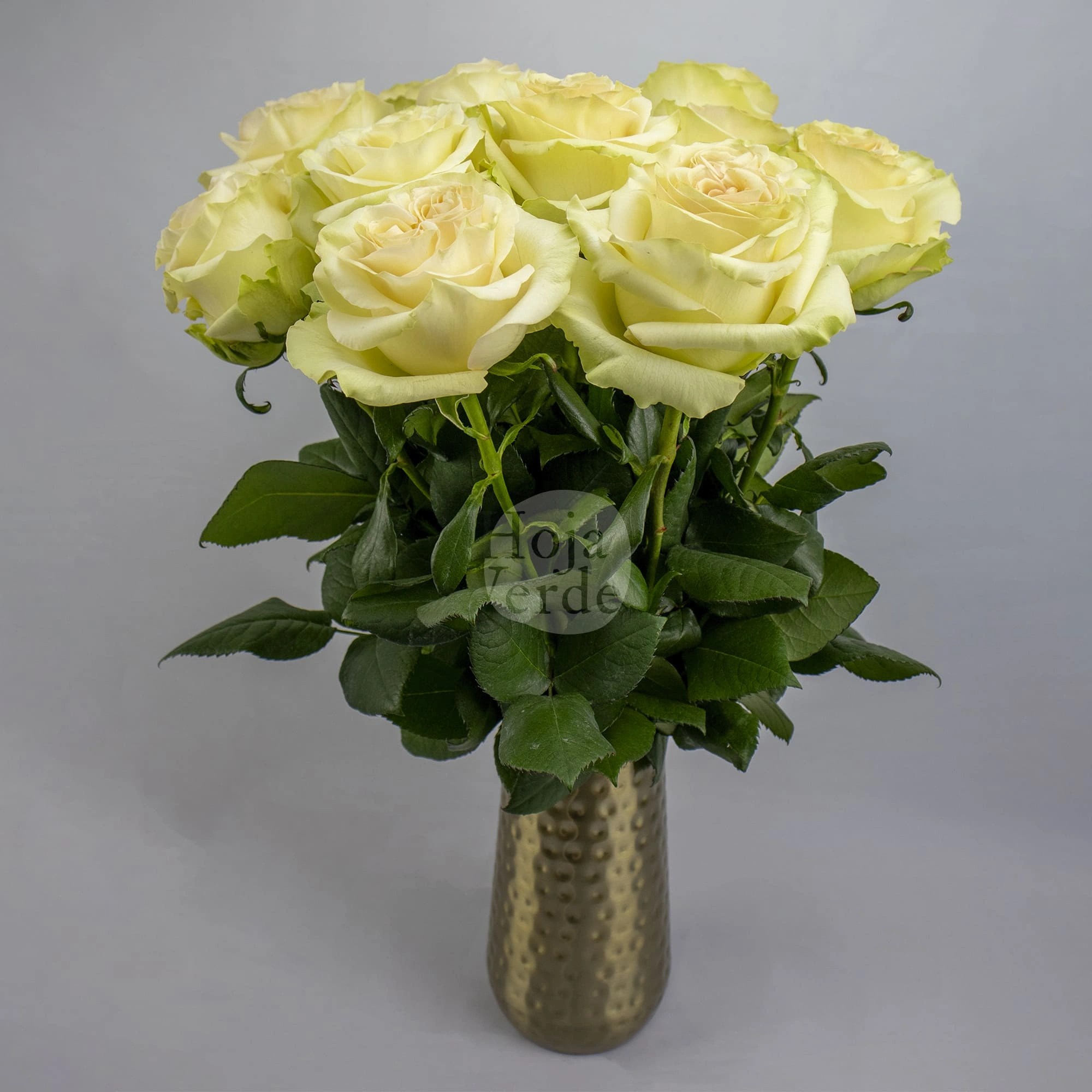 Dynamic Rose by Hoja Verde Ecuador