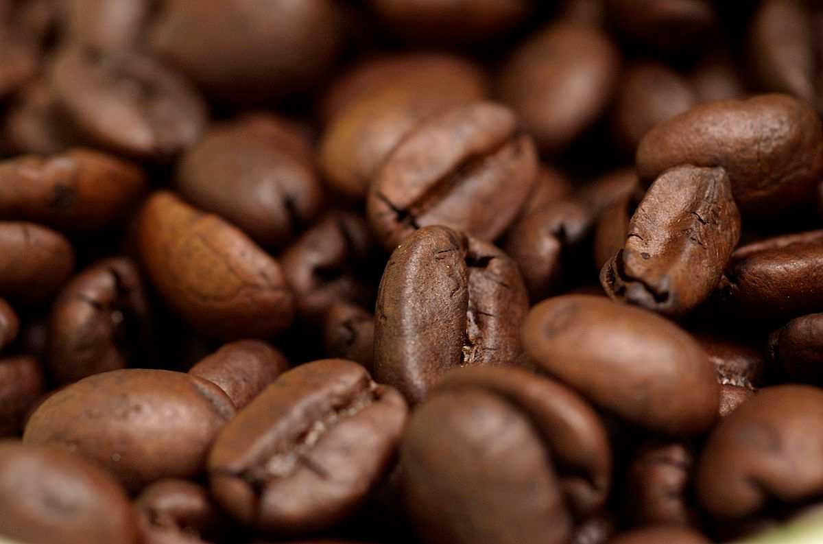 Though gesha, like all coffee, originated in ethiopia, it. Coffee In Bali The Best Balinese Coffee Blends You Must Try