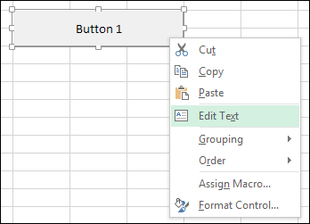 Adding a Button to an Excel Spreadsheet | Ross Newton Co.