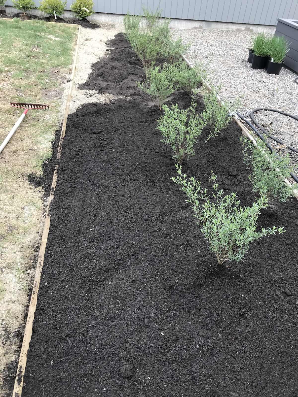 Clean, tidy garden edges frame a garden and elevate simple beds and landscapes. 7 Garden Edging Ideas Materials And Inspiration For Professional Landscaping Borders Home For The Harvest