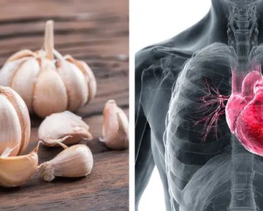 Eat Garlic Every Day… Here’s What Happens to Your Body