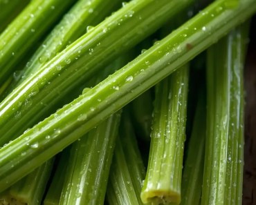 What Happens to Your Body When You Eat Celery Every Day for a Week