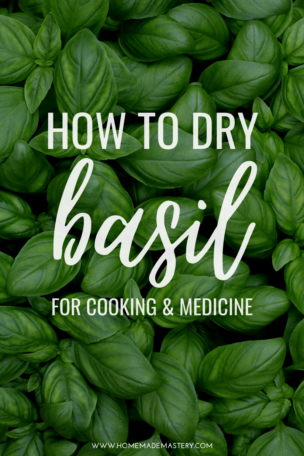 How To Dry Basil Leaves And Use Them Homemade Mastery (2023)